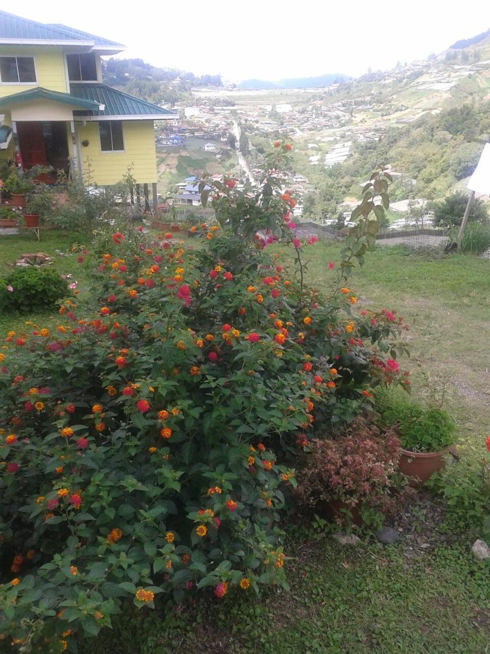 Soboroong Farmer'S Cottage Kundasang Exterior photo